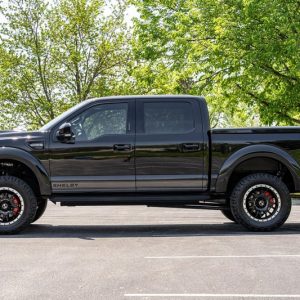 2019 Ford Shelby F-150 4×4