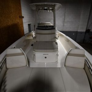 2022 Boston Whaler 250 Dauntless