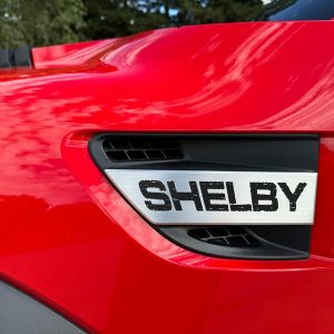 2014 Ford F-150 Shelby Baja Raptor