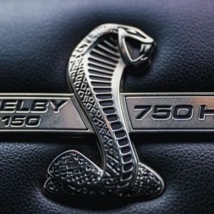 2017 Ford Shelby F-150 4×4