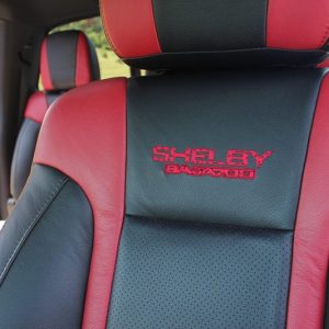 2014 Ford F-150 Shelby Baja Raptor